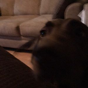 Meet your Posher, Joshua